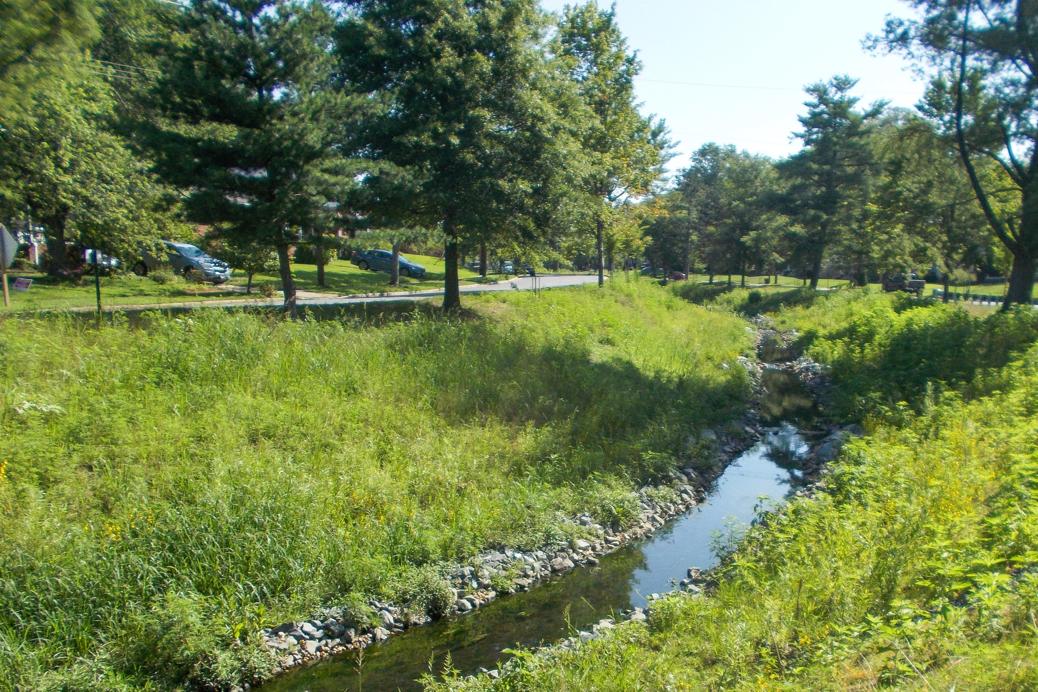 Brier Mill Stream restoration