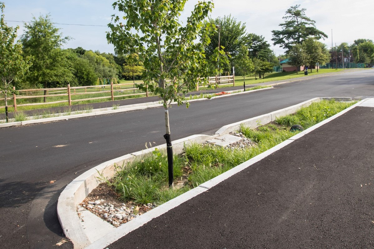 Environmental improvement street drainage