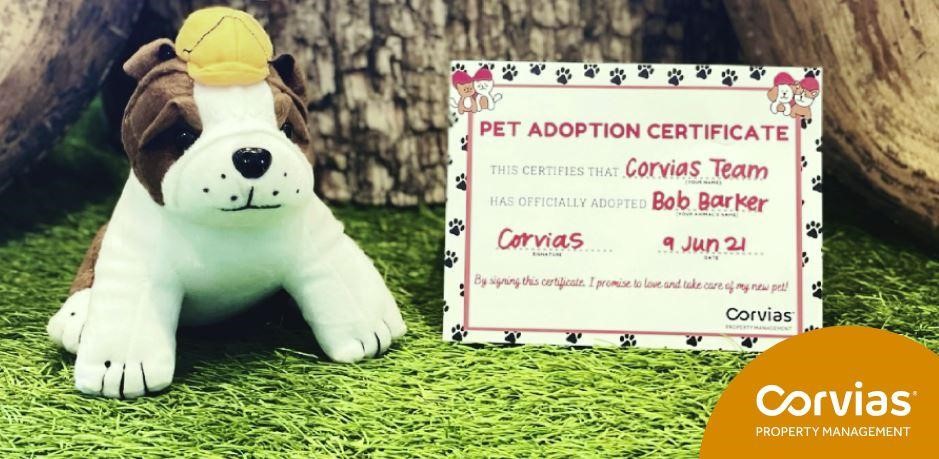 Corvias Property Management raises funds for animal shelter