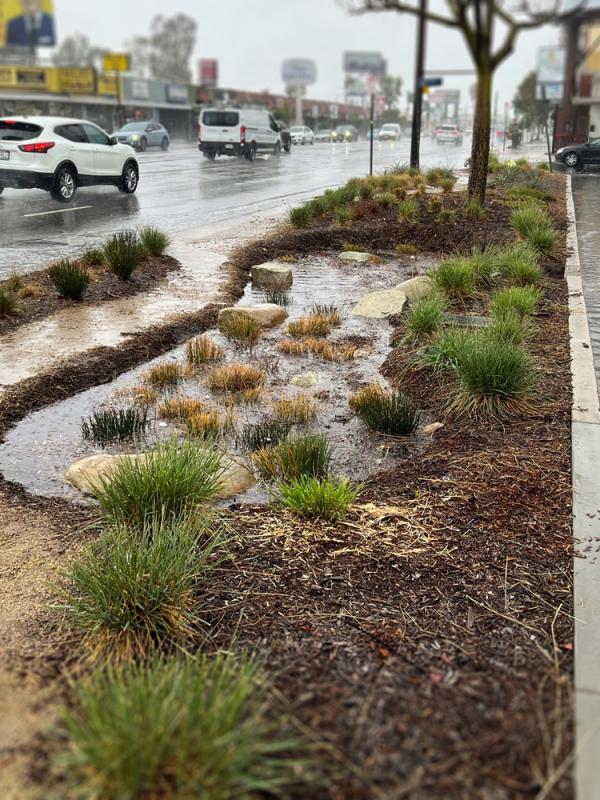 Stormwater Solutions in Los Angeles