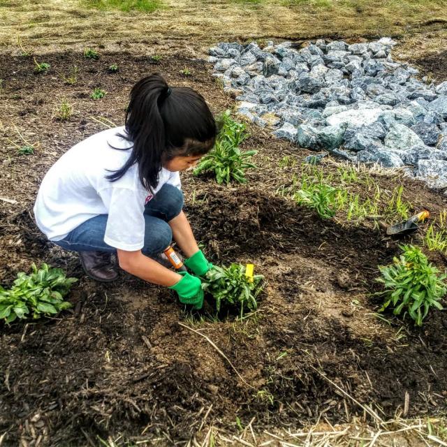Child planting a tree