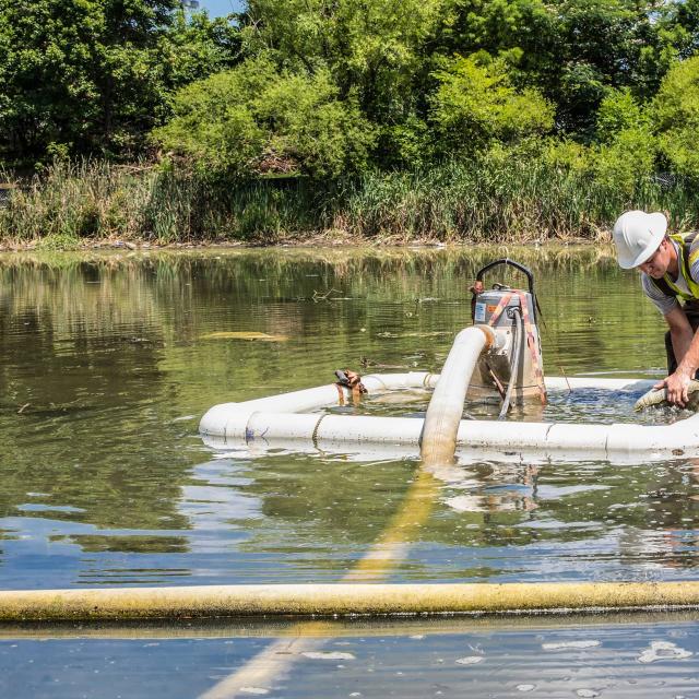 Worker assisting with stormwater cleanup 