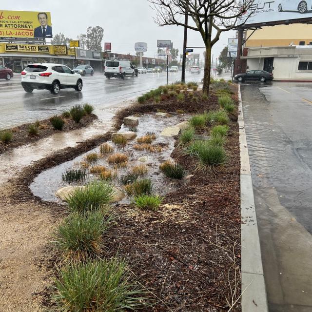 Los Angeles bioswale helping to remove stormwater from city streets