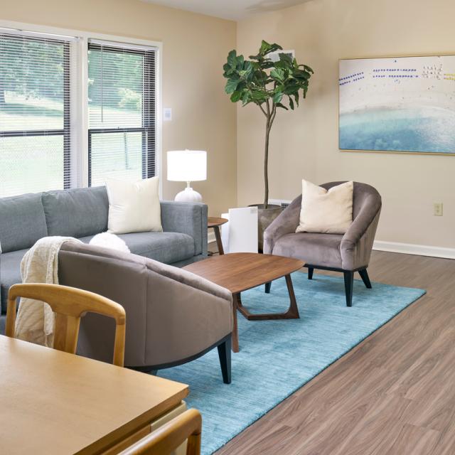 Wellness at Home Living Room
