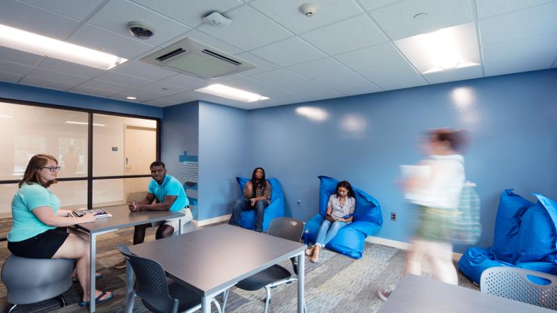 One of several study areas