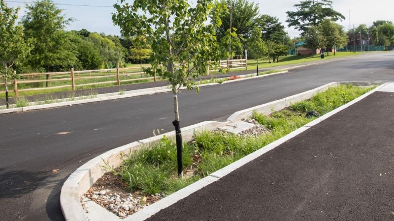 Stormwater Authority of the City of Chester rain garden