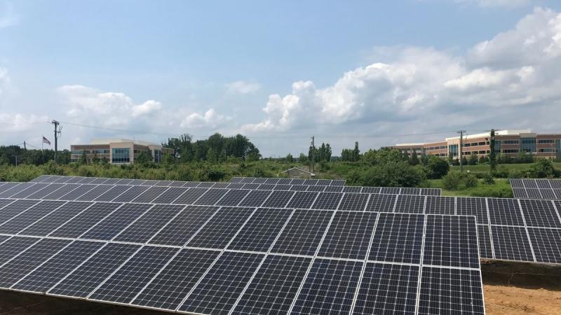 Solar grid with buildings in the background 