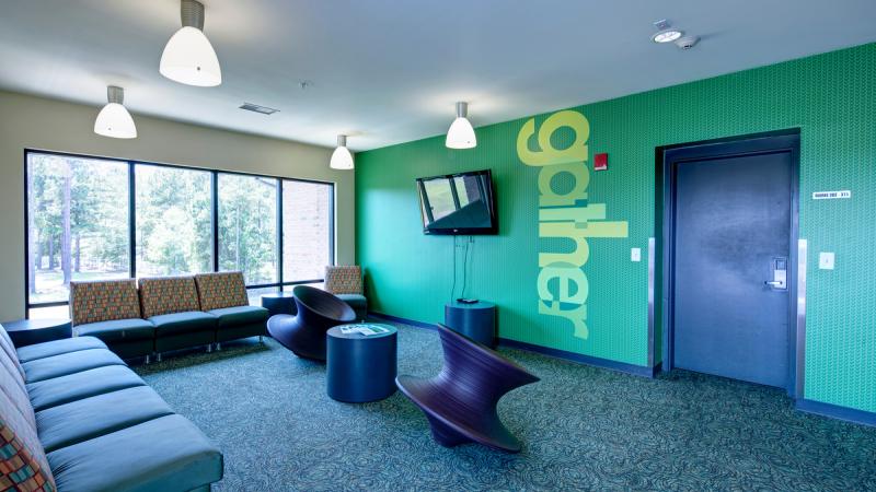 Room with a green wall and sofas