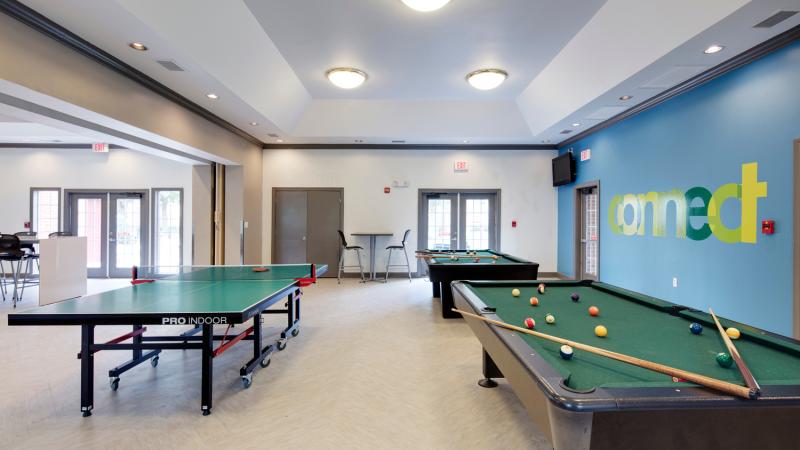 Game room with a pool and ping pong tables