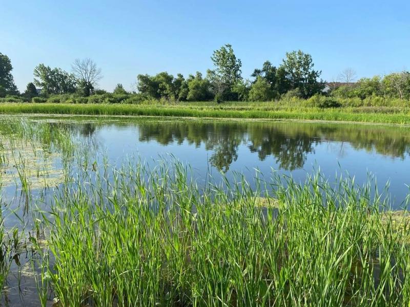 MILWAUKEE METROPOLITAN SEWERAGE DISTRICT / FRESH COAST PROTECTION PARTNERSHIP